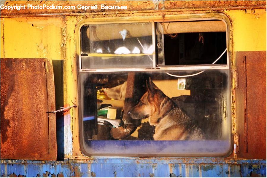 Dog House, Kennel, Fireplace, Hearth, Caravan, Van, Vehicle