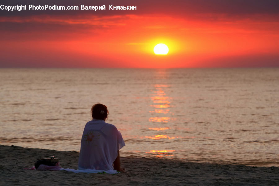 Human, People, Person, Back, Beach, Coast, Outdoors