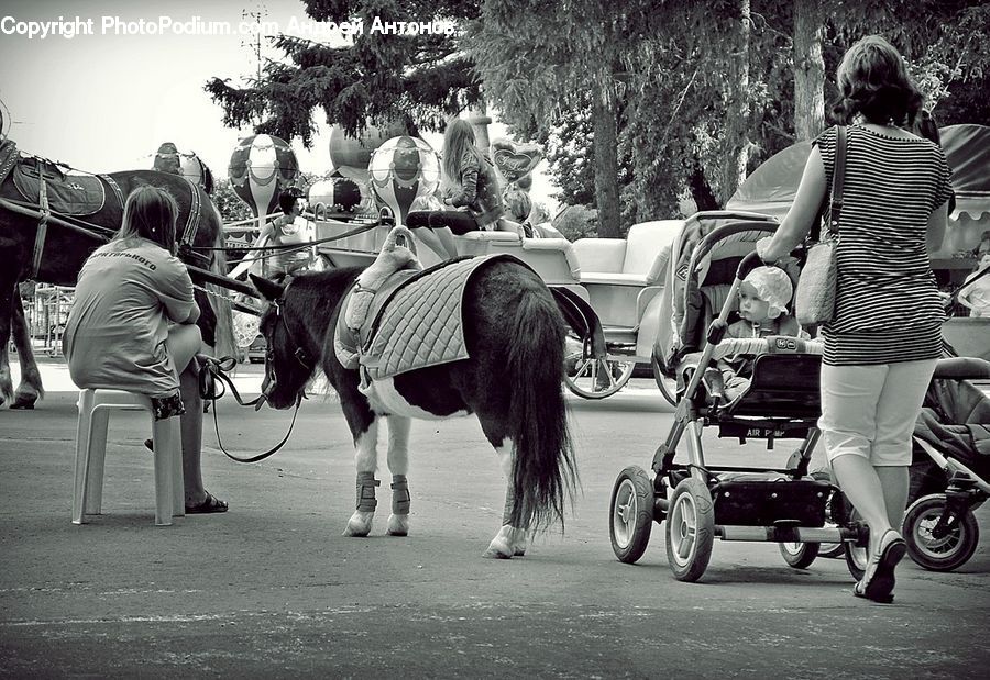 People, Person, Human, Stroller, Scooter, Vehicle, Bench