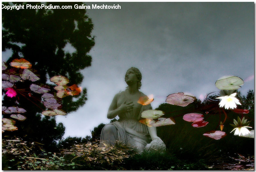 People, Person, Human, Buddha, Shrine, Temple, Cosmos