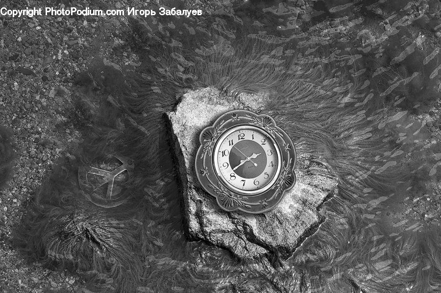 Coin, Money