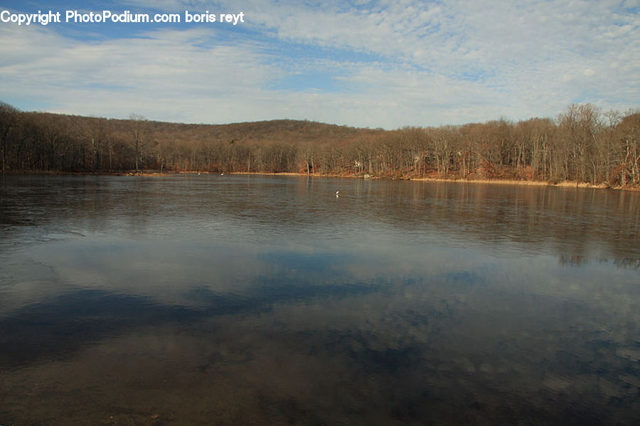 Lake, Outdoors, Water, Field, Grass, Grassland, Plant