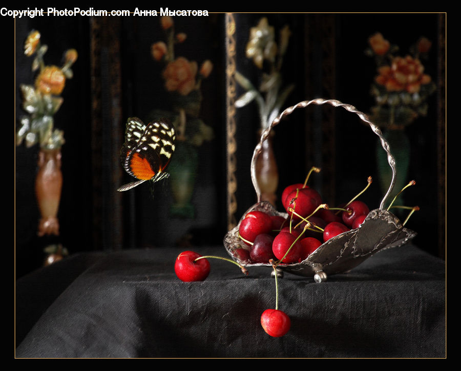 People, Person, Butterfly, Insect, Invertebrate, Human, Cherry