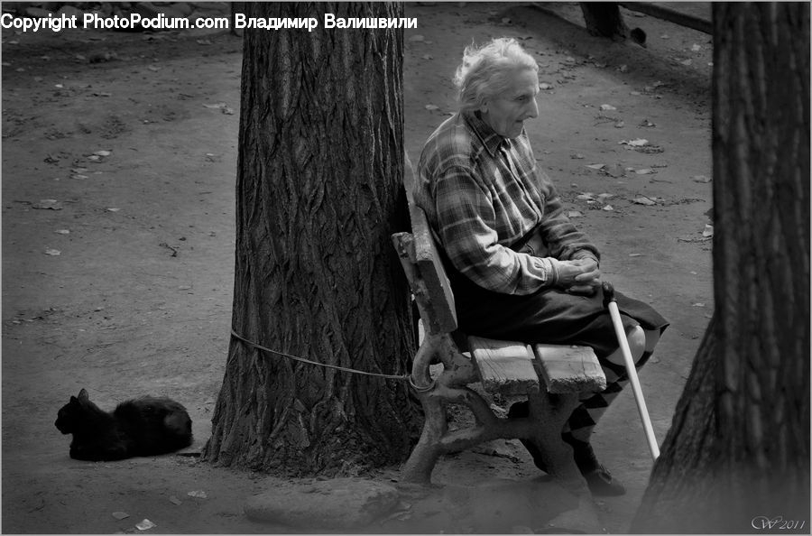 Human, People, Person, Chair, Furniture, Bench