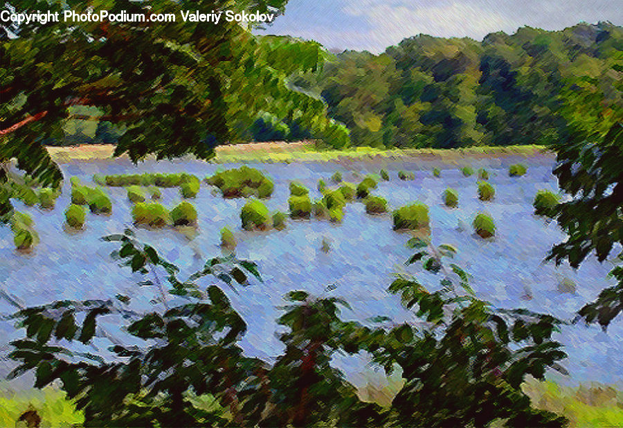 Outdoors, Ripple, Water, Nature, Algae, Pond, Bush