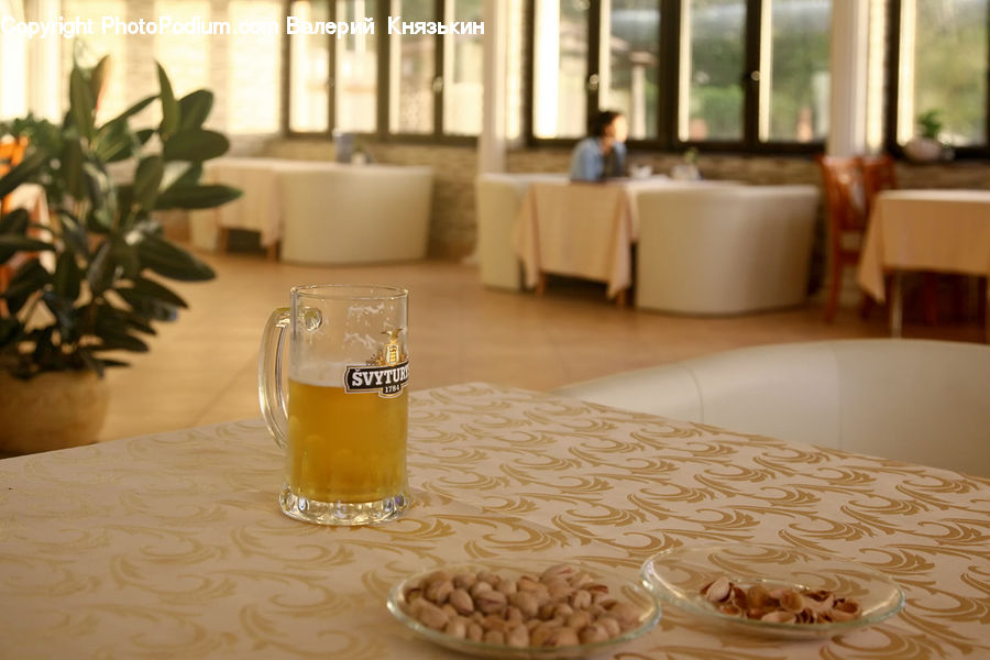 Plant, Potted Plant, Alcohol, Beer, Beverage, Drink, Dining Room