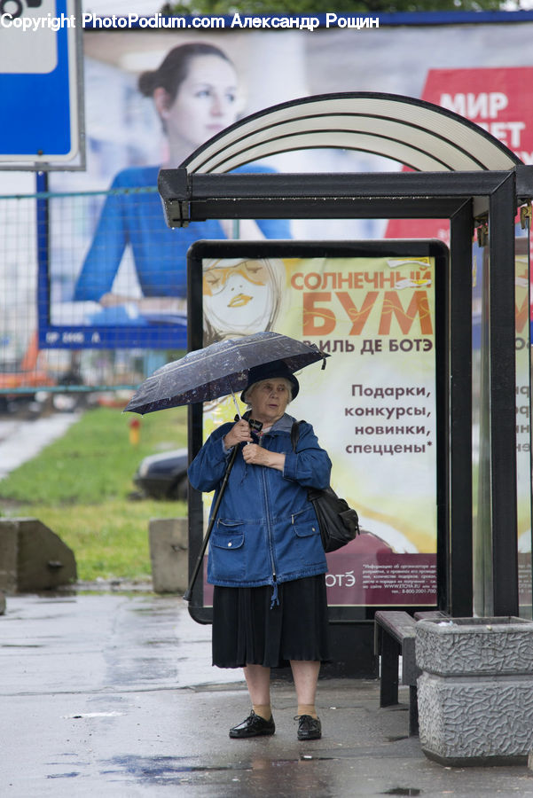 Human, People, Person, Bus Stop, Head, Portrait, Bench