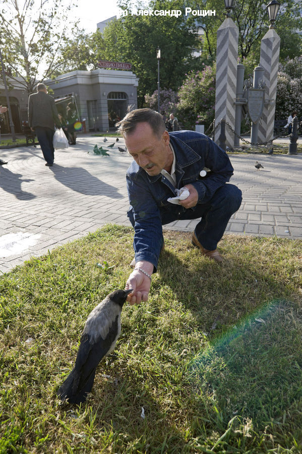 People, Person, Human, Bird, Stork, Art, Sculpture