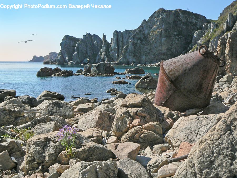 Plant, Potted Plant, Rock, Coast, Outdoors, Sea, Water