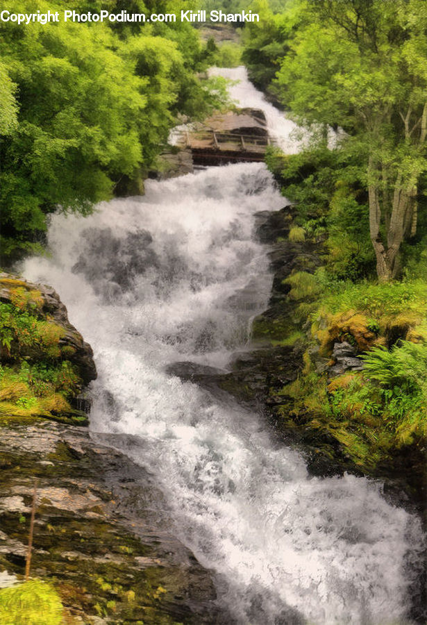 Creek, Outdoors, River, Water, Waterfall, Forest, Jungle