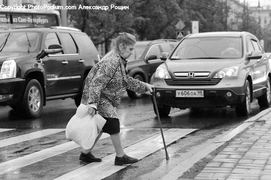 Automobile, Car, Vehicle, People, Person, Human, Bus