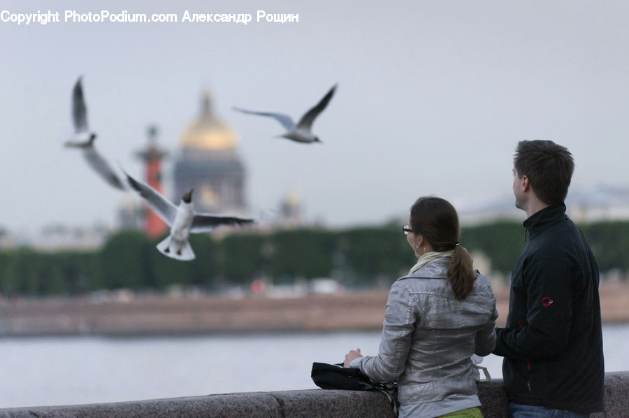 People, Person, Human, Takeoff, Bird, Goose, Waterfowl