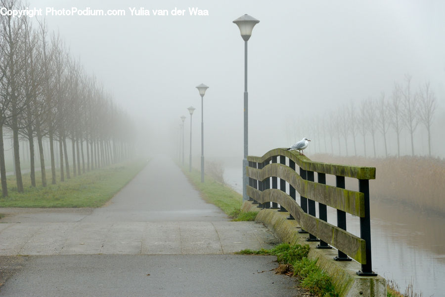 Lamp Post, Pole, Building, Office Building, Dirt Road, Gravel, Road