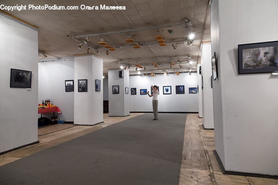 Art, Art Gallery, Appliance, Fridge, Refrigerator, Floor, Flooring