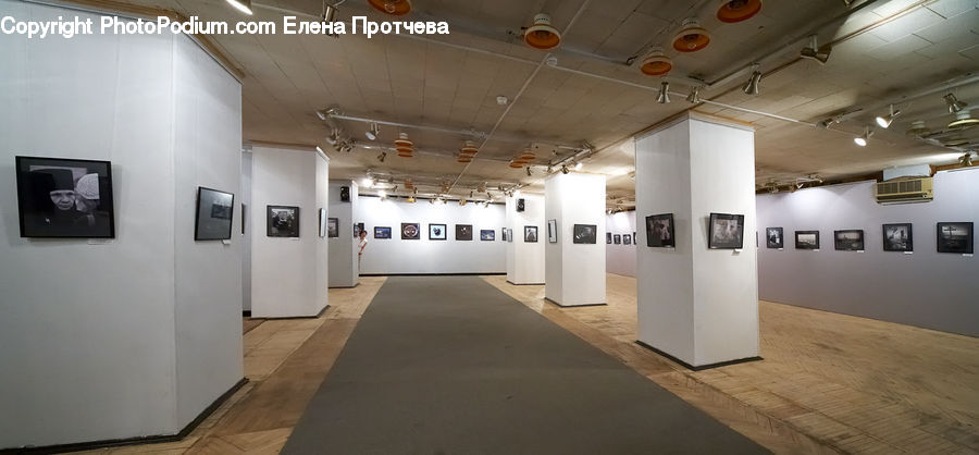 Art, Art Gallery, Electronics, Monitor, Screen, TV, Television