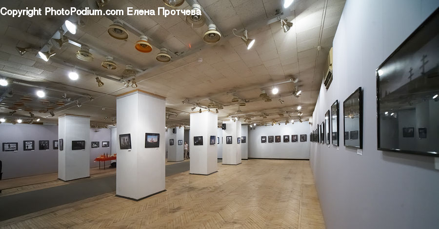 Art, Art Gallery, Floor, Flooring, Lighting, Corridor, Door
