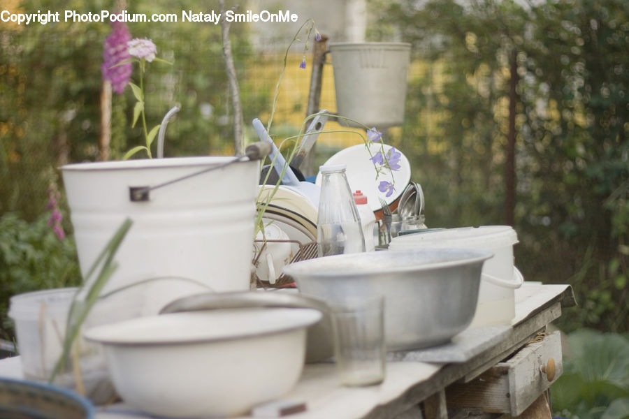Plant, Potted Plant, Cup, Porcelain, Saucer, Dish, Food