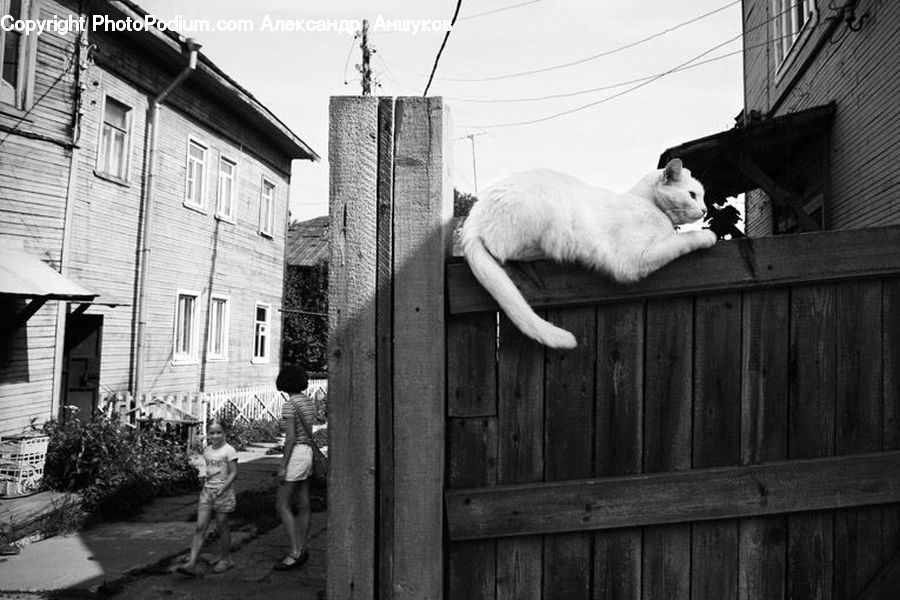 People, Person, Human, Alley, Alleyway, Road, Street