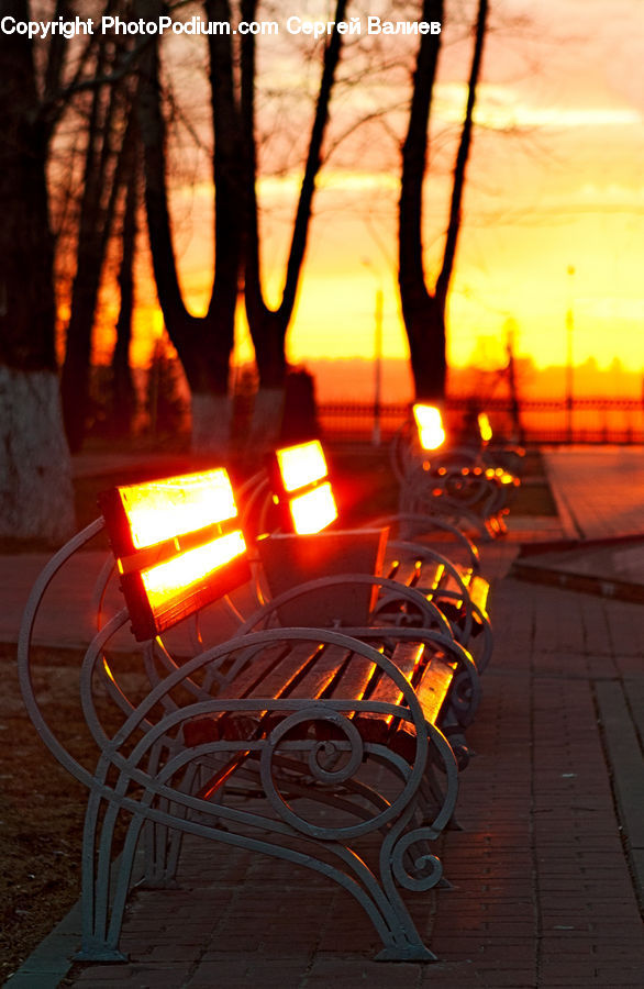 Flare, Light, Sunlight, Dawn, Outdoors, Sky, Sun