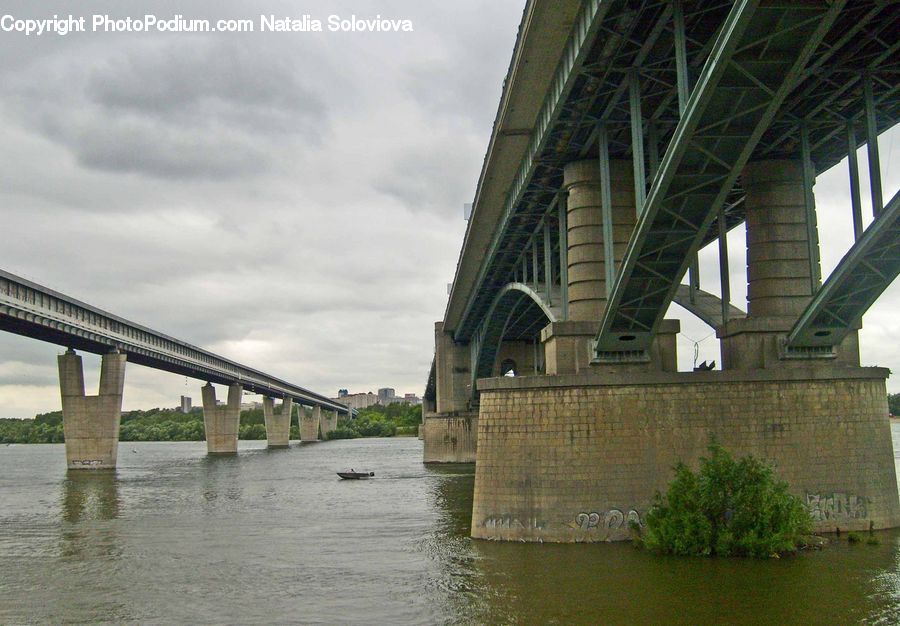 Plant, Potted Plant, Bridge, Freeway, Overpass, Flood, Outdoors
