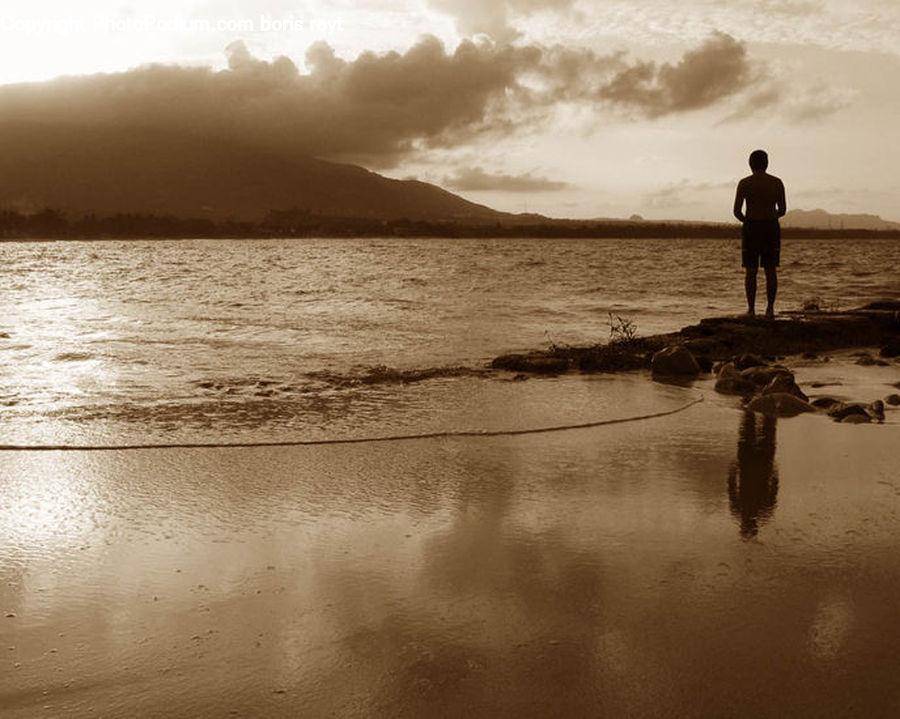 Beach, Coast, Outdoors, Sea, Water