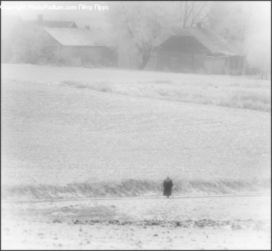 Blizzard, Outdoors, Snow, Weather, Winter
