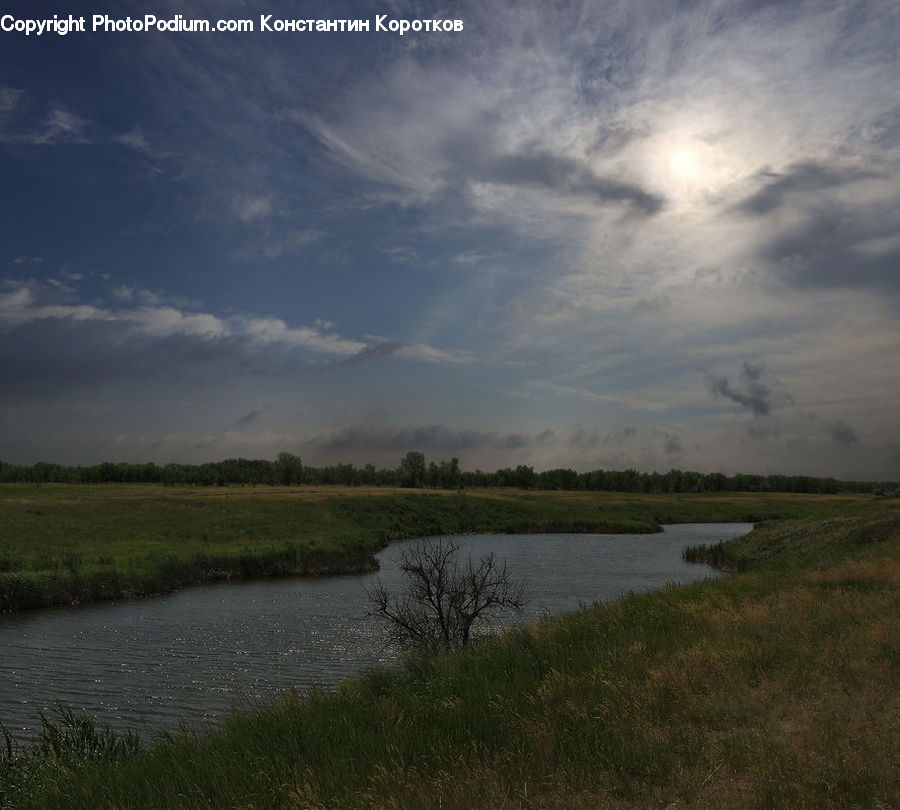 Field, Grass, Grassland, Land, Outdoors, Marsh, Pond