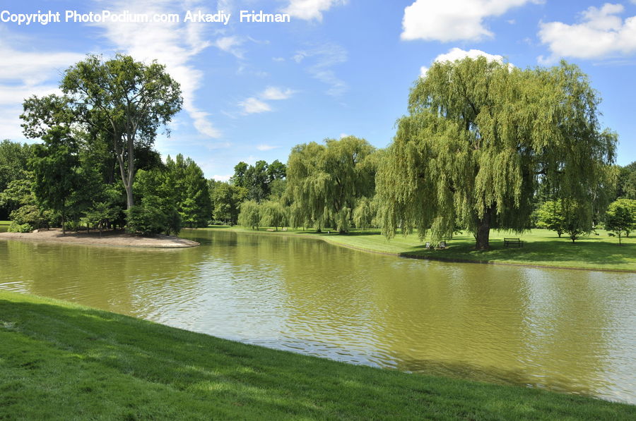 Outdoors, Pond, Water, Plant, Tree, Field, Grass