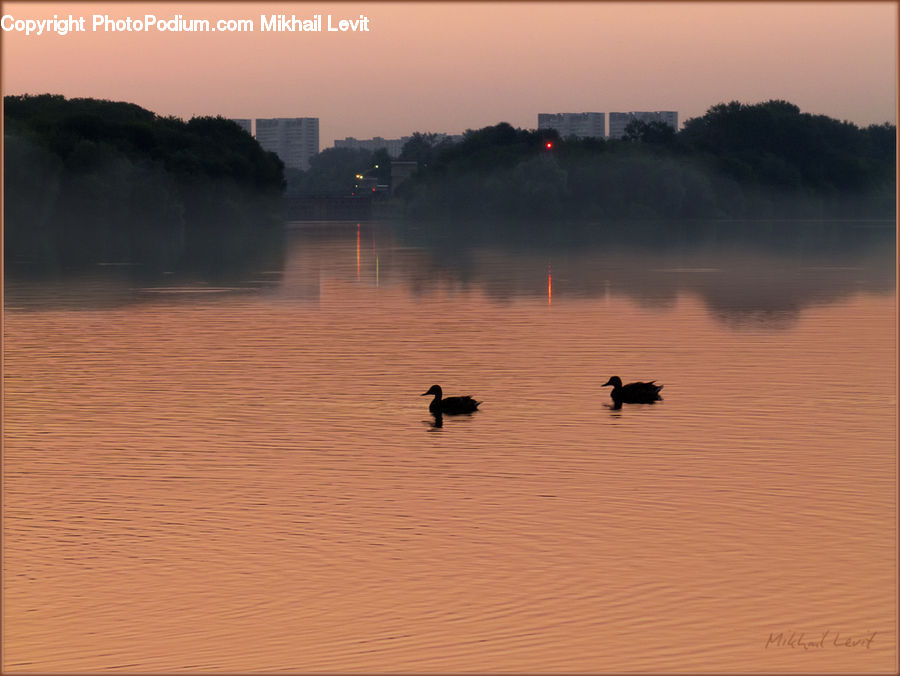 Dawn, Dusk, Sky, Sunrise, Sunset, Water, Outdoors