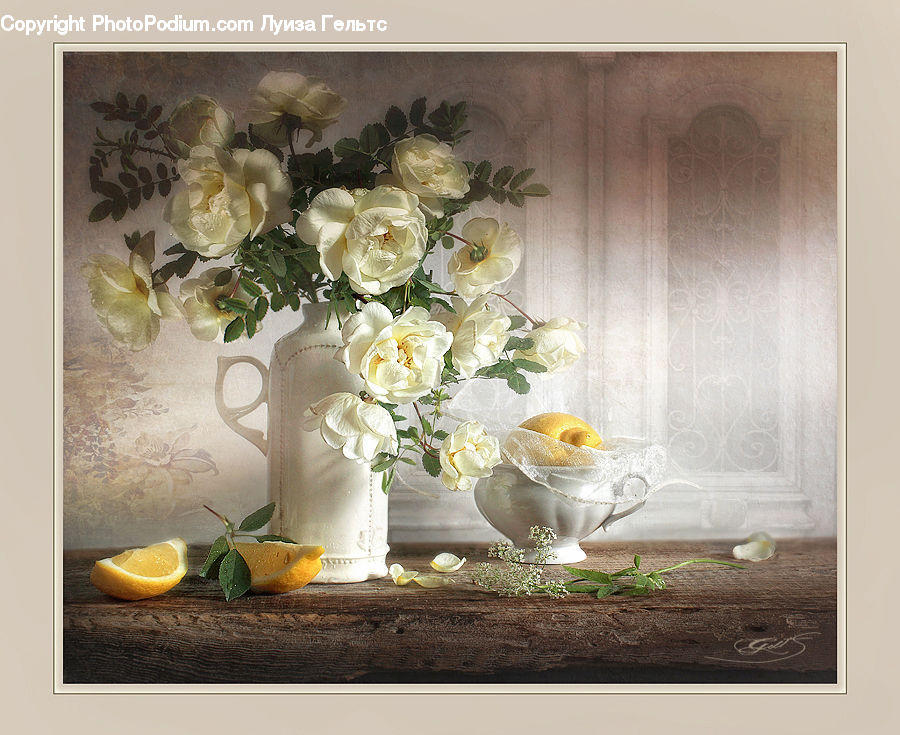 Plant, Potted Plant, Floral Design, Flower, Flower Arrangement, Flower Bouquet, Ikebana