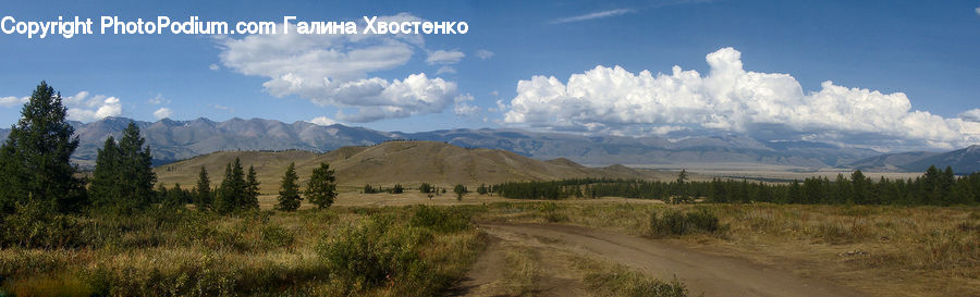 Dirt Road, Gravel, Road, Mountain, Mountain Range, Outdoors, Field