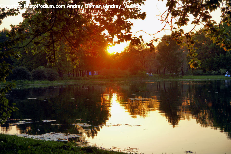 Outdoors, Pond, Water, Dawn, Dusk, Sky, Sunrise
