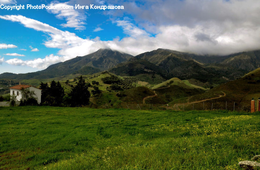 Field, Grass, Grassland, Land, Outdoors, Countryside, Meadow