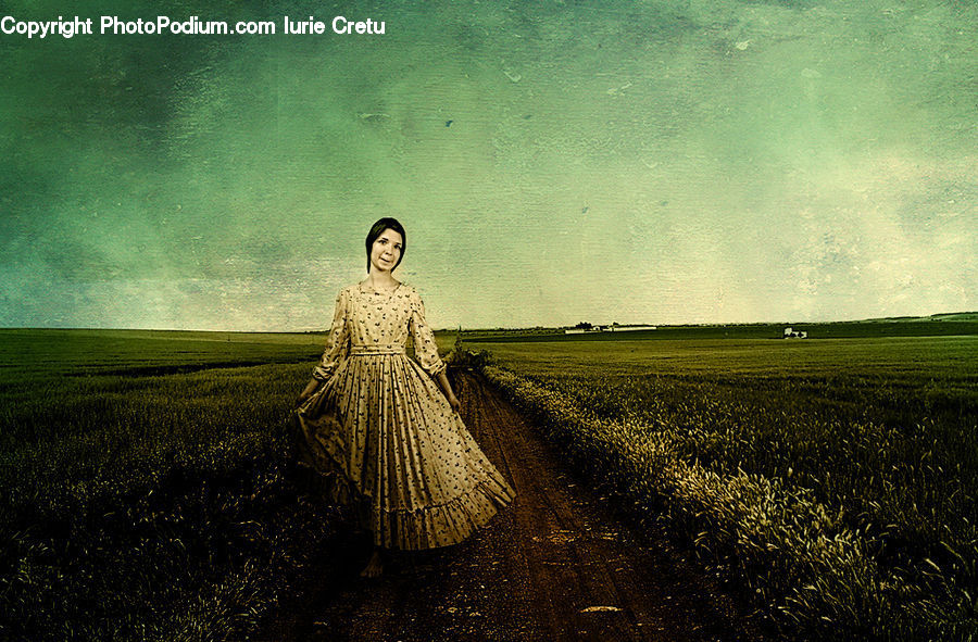 Field, Grass, Grassland, Plant, Dirt Road, Gravel, Road