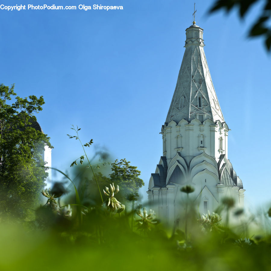 Architecture, Bell Tower, Clock Tower, Tower, Spire, Steeple, Plant