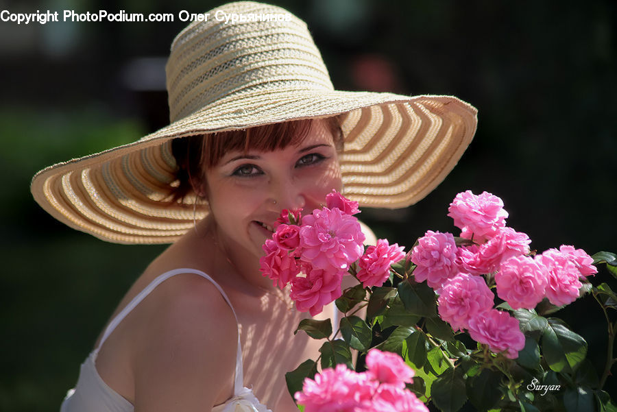 People, Person, Human, Blossom, Carnation, Flower, Plant