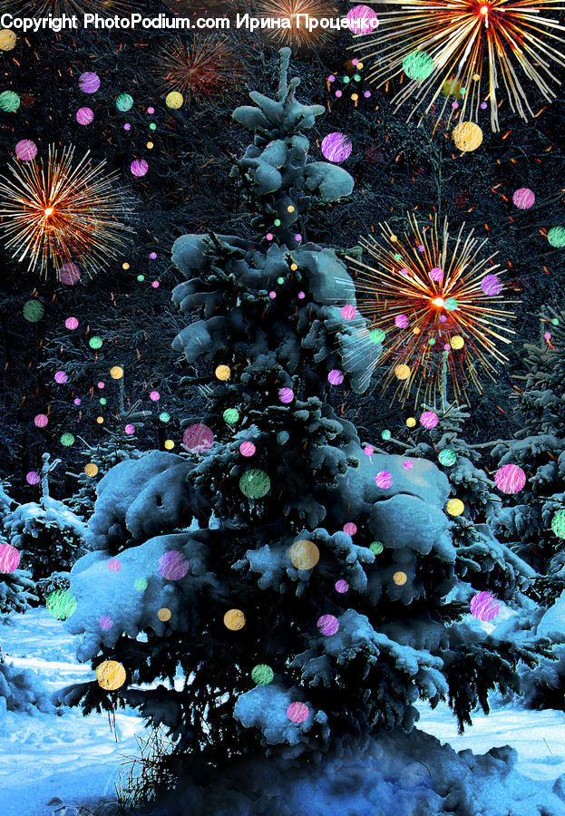 Fireworks, Night, Coral Reef, Outdoors, Reef, Sea, Sea Life