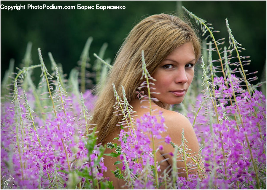 People, Person, Human, Lavender, Plant, Blonde, Female