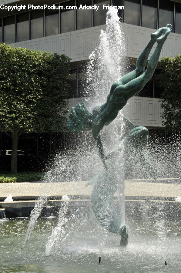 Fountain, Water, Plant, Potted Plant, Conifer, Tree, Wood