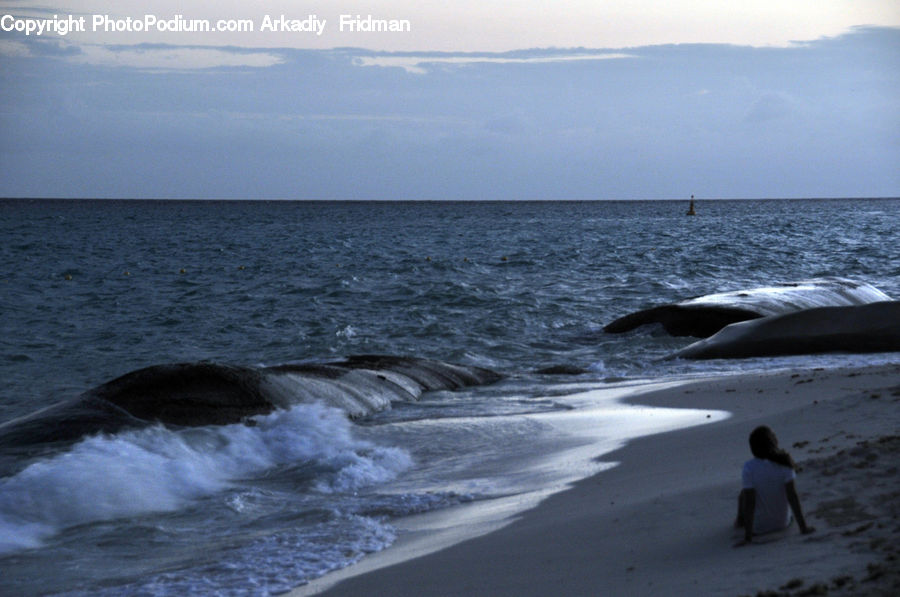 Animal, Fish, Mammal, Sea Life, Whale, Coast, Outdoors