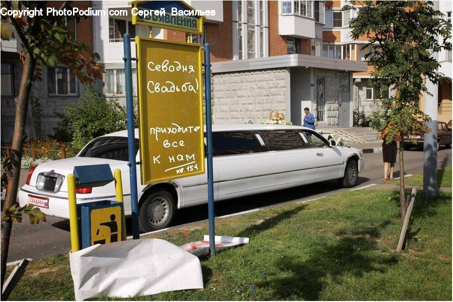 Plant, Potted Plant, Car, Limo, Vehicle, Van, Machine