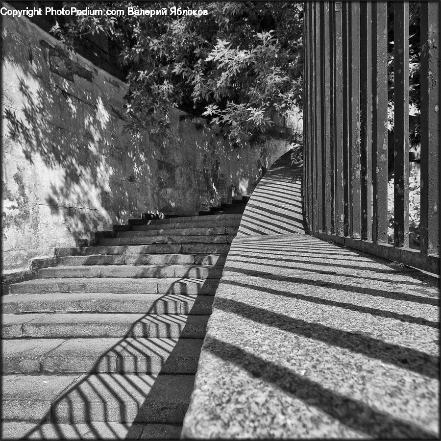 Path, Trail, Alley, Alleyway, Road, Street, Town