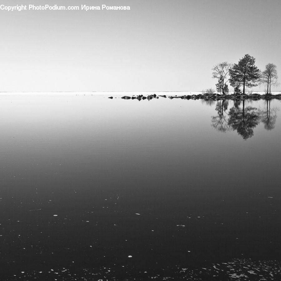 Water, Land, Marsh, Pond, Swamp, Outdoors, Sea