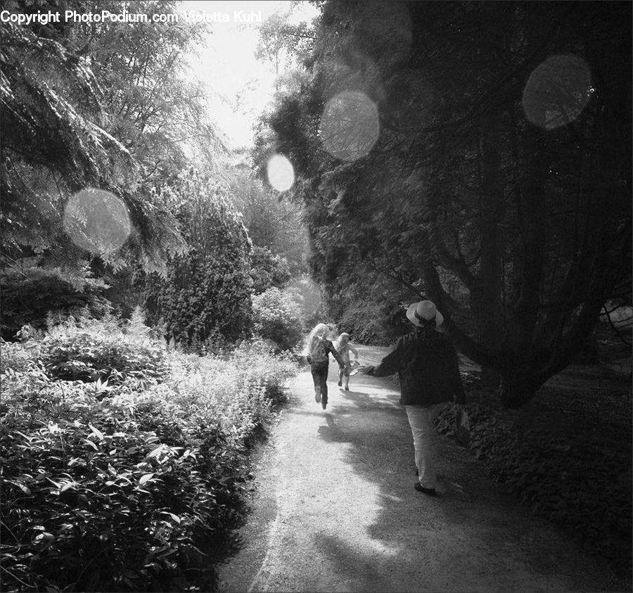 Path, Trail, Alley, Alleyway, Road, Street, Town