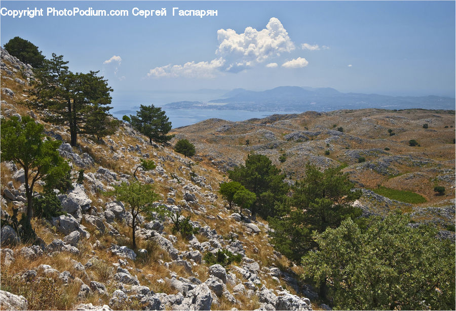 Crest, Mountain, Outdoors, Peak, Conifer, Fir, Plant