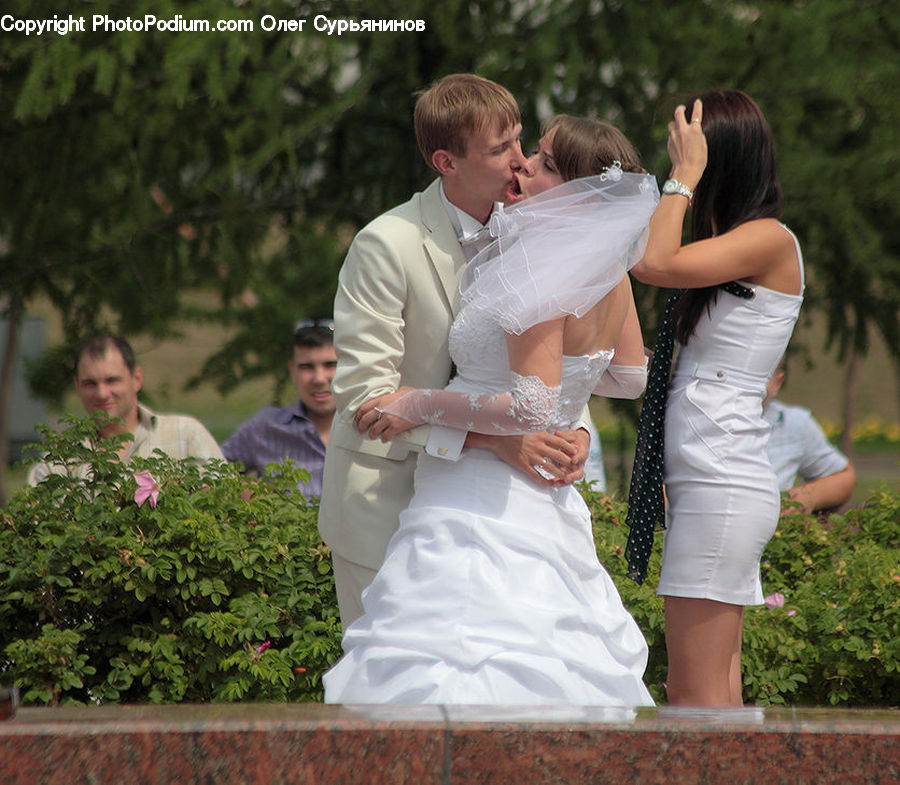 People, Person, Human, Plant, Potted Plant, Bride, Gown