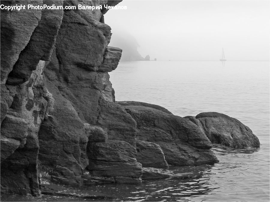 Rock, Ivy, Plant, Vine, Coast, Outdoors, Sea
