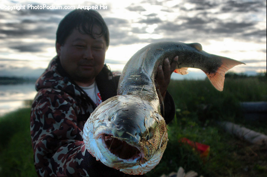 People, Person, Human, Carp, Fish, Sea Life, Gourd