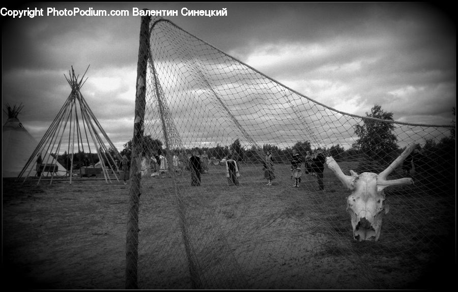 Playground, Swing, Bridge, Angus, Animal, Bull, Mammal