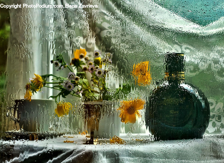 Fountain, Water, Backyard, Yard, Outdoors, Sea, Sea Waves